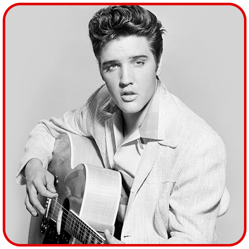 ELVIS