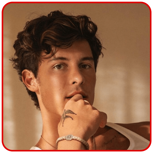 SHAWN MENDES
